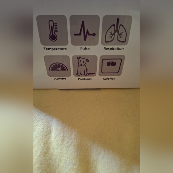 Pet pace - Picture 3 of 4